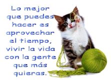 Haga click para ver la imagen ampliada aprovecha el tiempo vive la vida con la gente que quieres.jpg